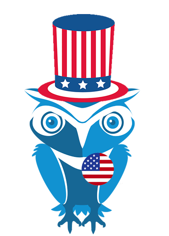 Salute to Service Owl